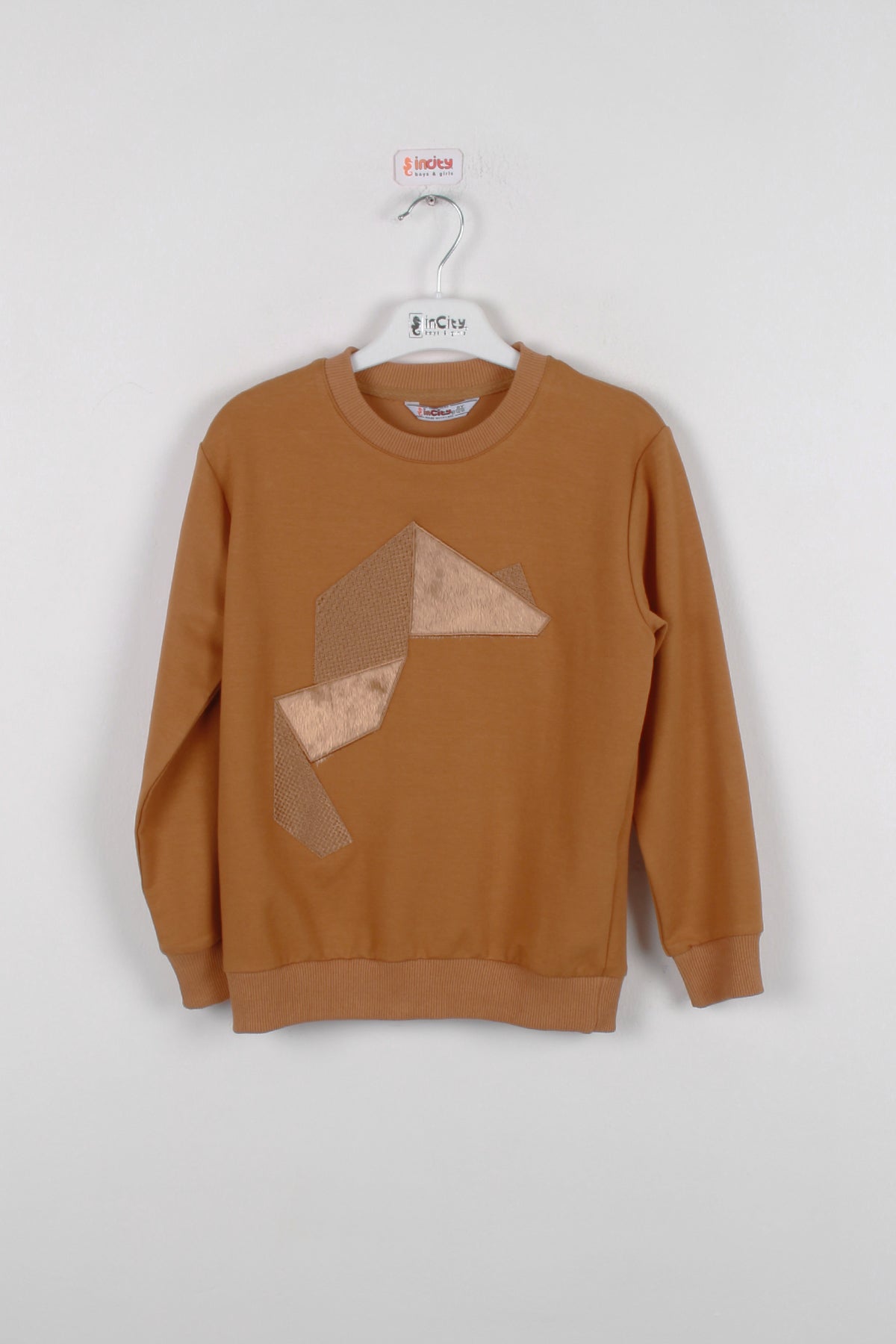 InCity Kids Erkek Çocuk Nakışlı ve Peluşlu Geometrik Desenli Sweatshirt