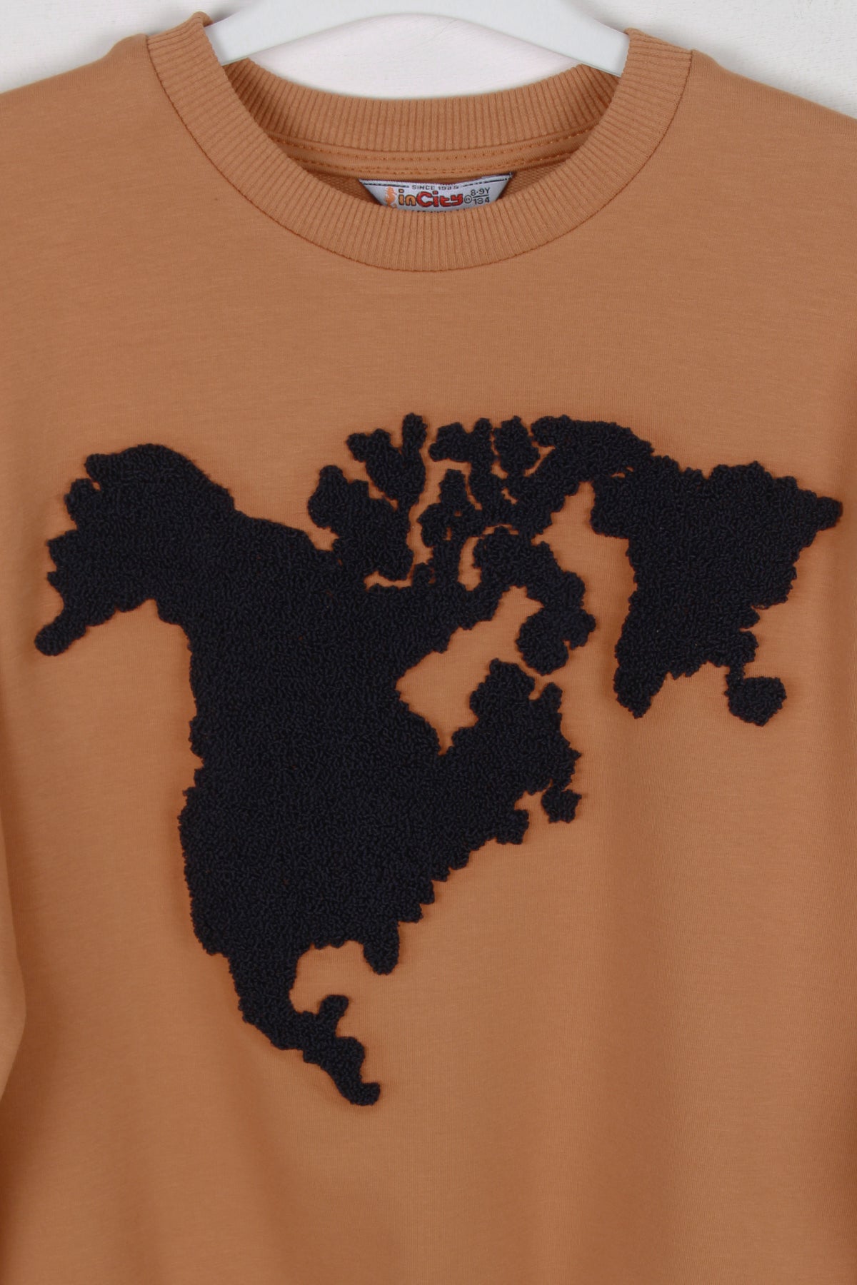 InCity Kids Erkek Çocuk Peluş Kuzey Amerika Haritası Detaylı Sweatshirt