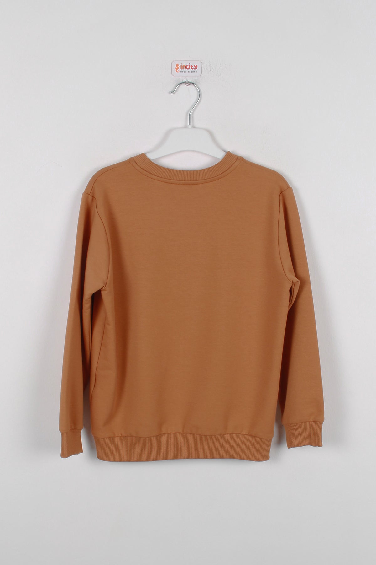 InCity Kids Erkek Çocuk Peluş Kuzey Amerika Haritası Detaylı Sweatshirt