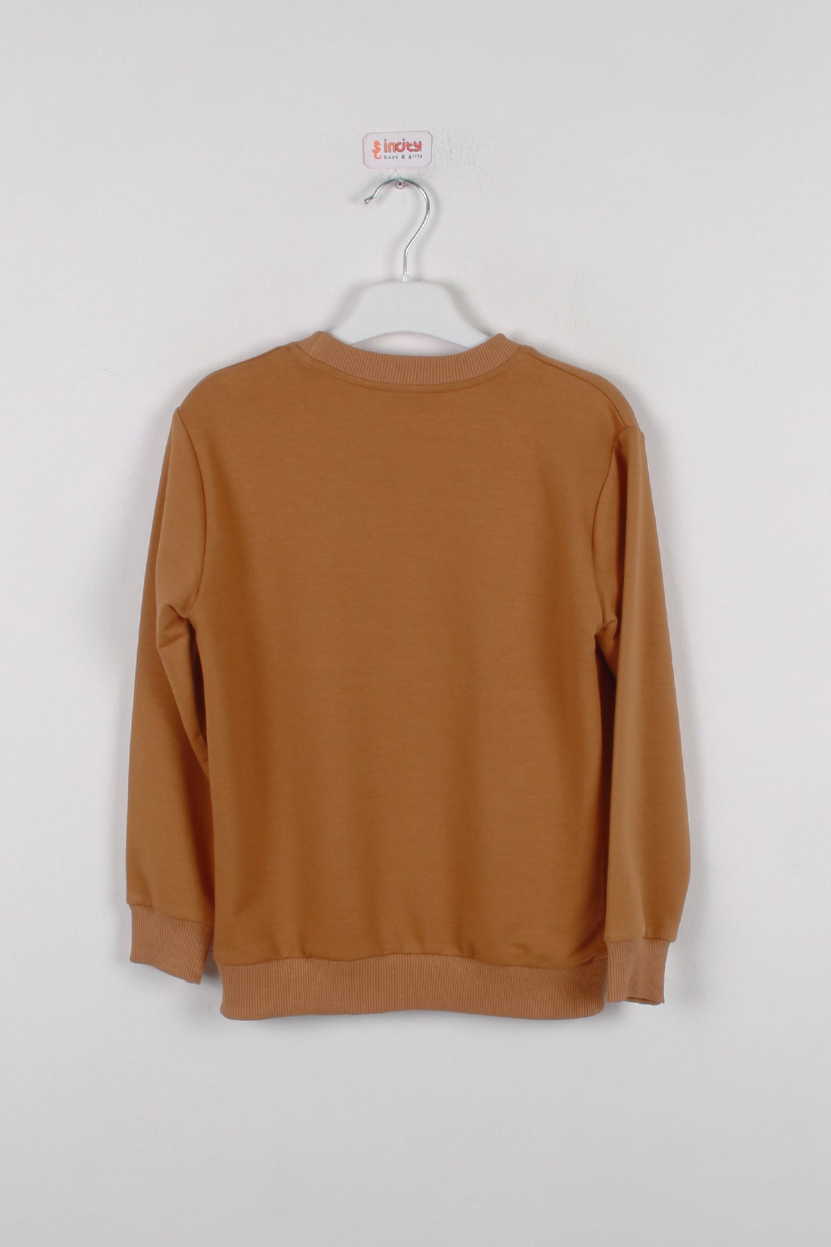 InCity Kids Erkek Çocuk Nakışlı ve Peluşlu Geometrik Desenli Sweatshirt